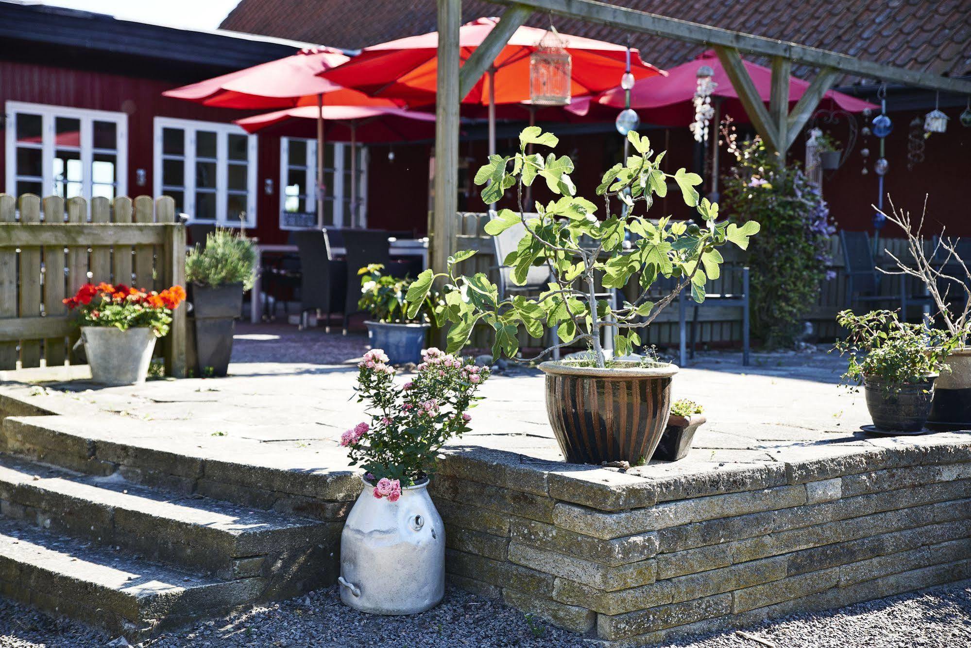 Auberge de jeunesse Rosengaarden à Boderne Extérieur photo